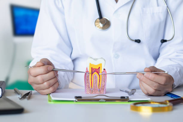 Best Emergency Root Canal Treatment in Macarthur, WV